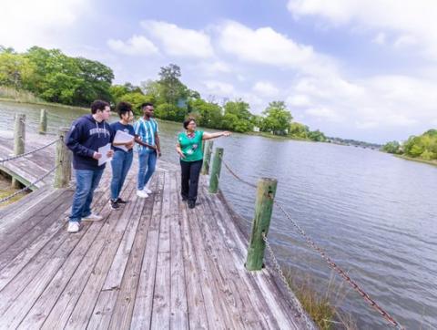 学生们正在学习海岸恢复能力 